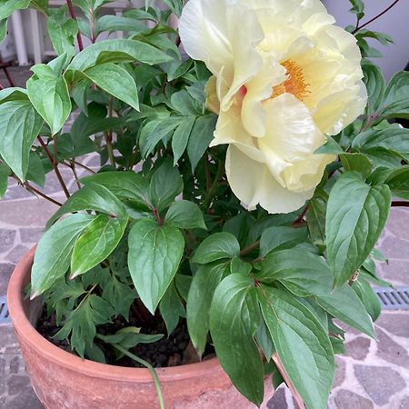 La Casona B&B San Michele all'Adige Luaran gambar